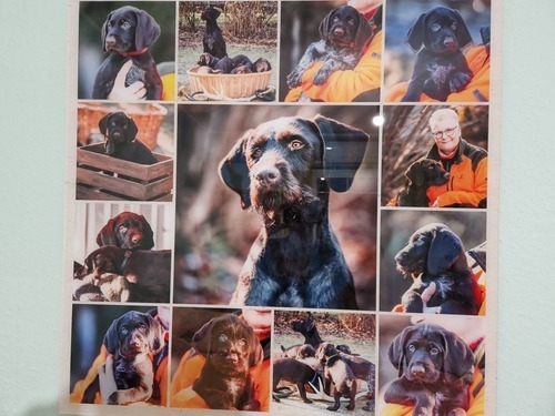 Klantfoto van Kathrin voor beoordeling Afdruk Fotocollage Acryl 80x80cm
